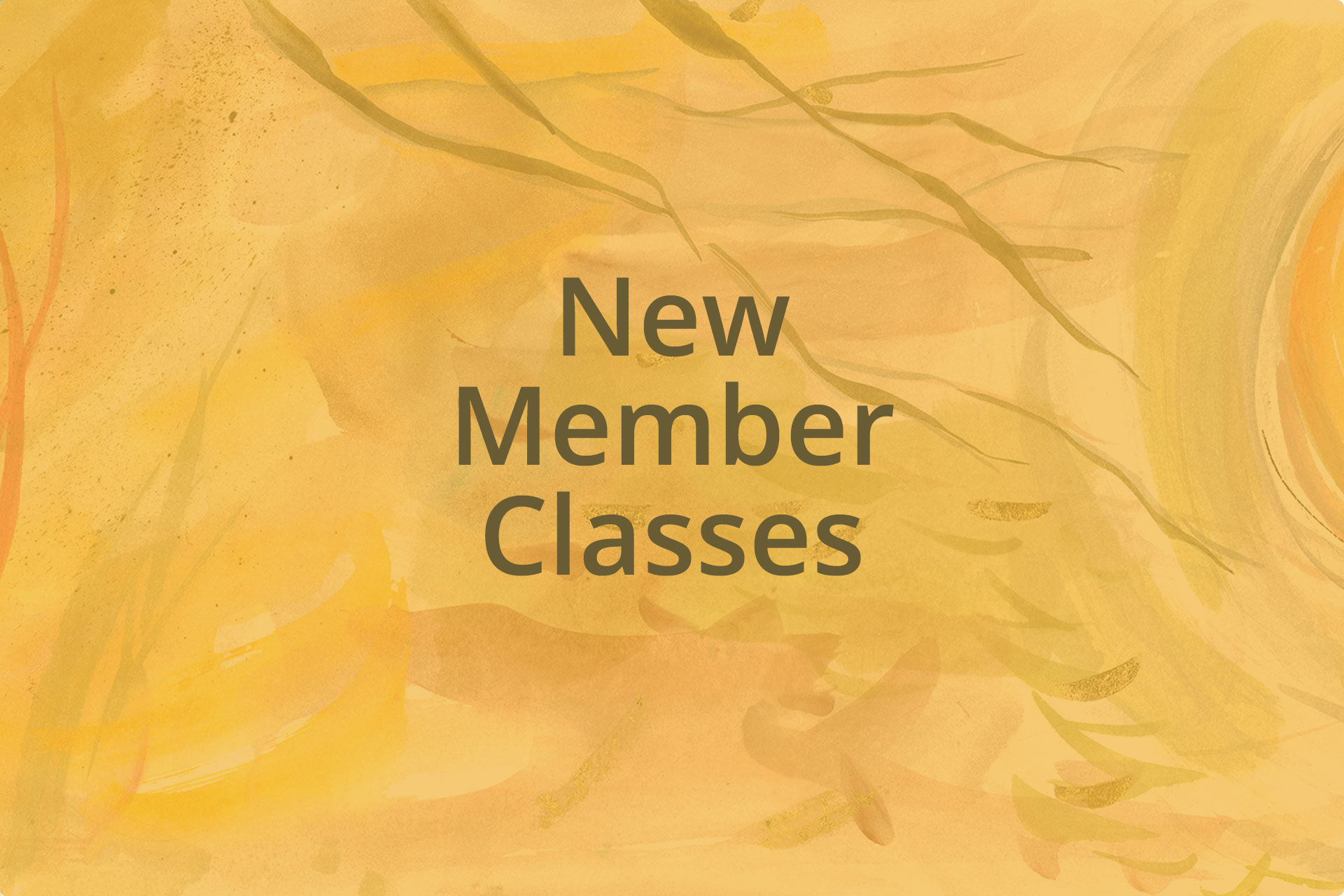 New Member Class Details